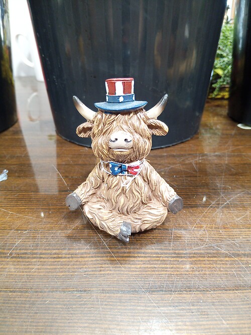 Highland with American Bow