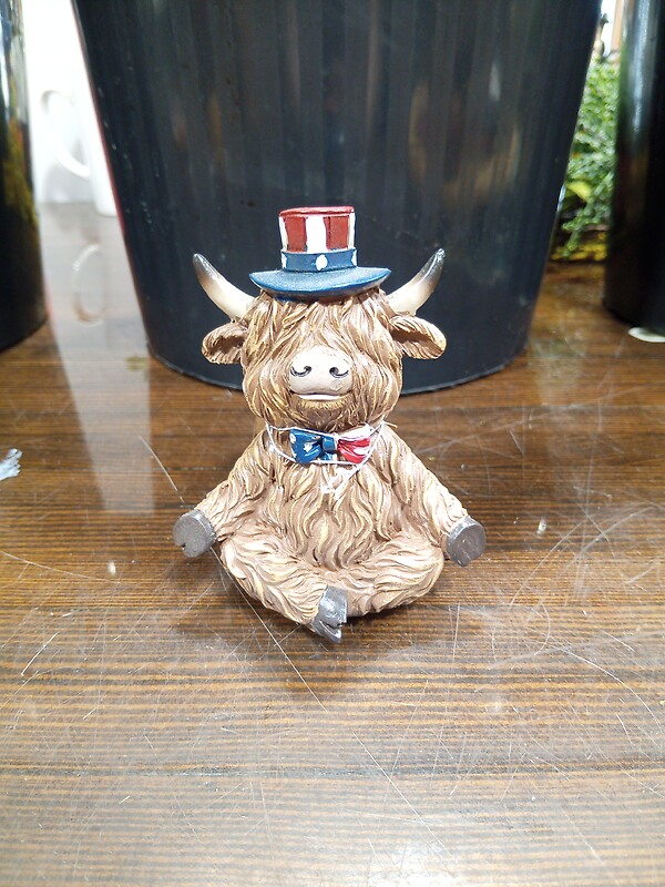 Highland with American Bow