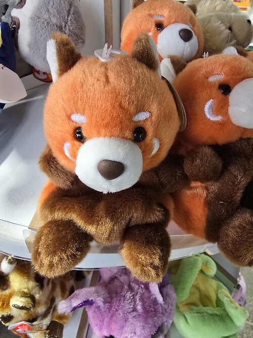 Palm pal red panda