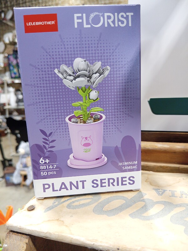 Jasminum Lego
