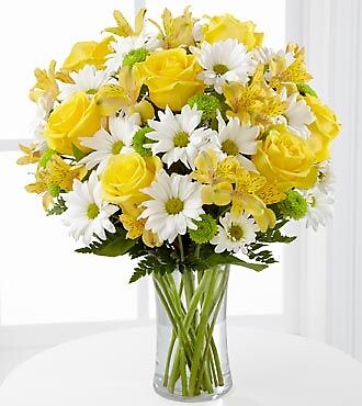 The Sunny Sentiments
