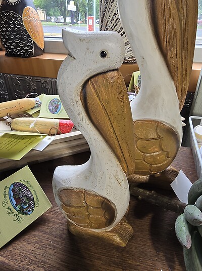 Small pelican