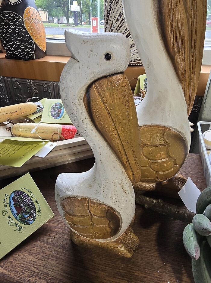 Small pelican