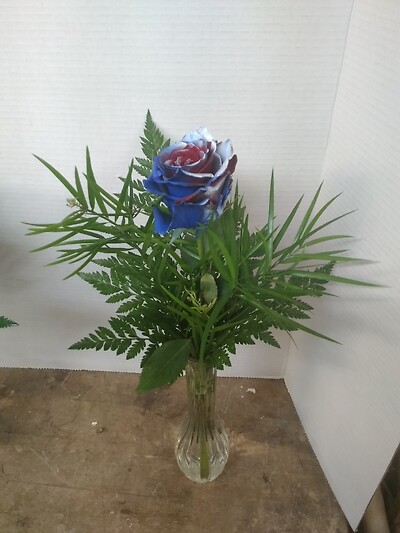Flag rose 2