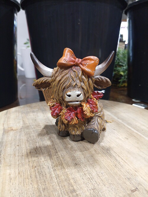 Highland with Fall Wreath