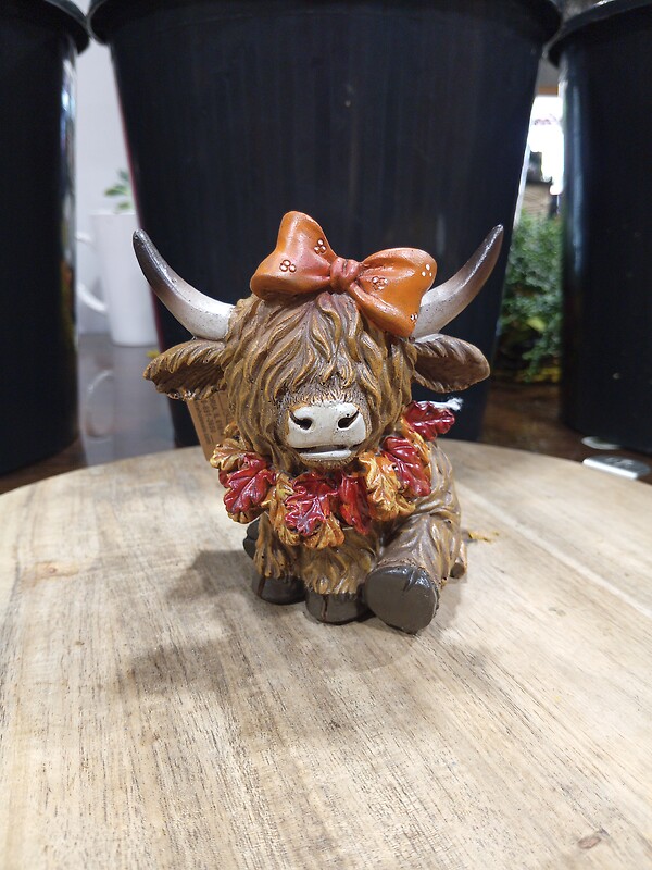 Highland with Fall Wreath