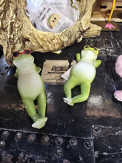 Sun bathing frog