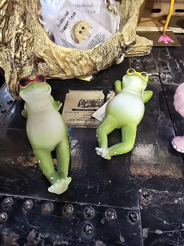 Sun bathing frog