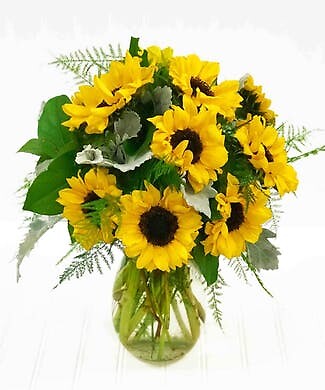 Sunflowers