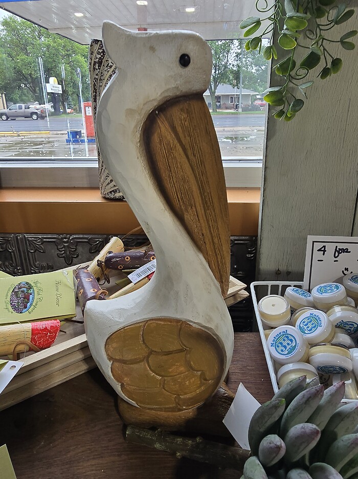 Large pelican