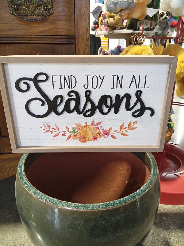 Find Joy in All Seasons