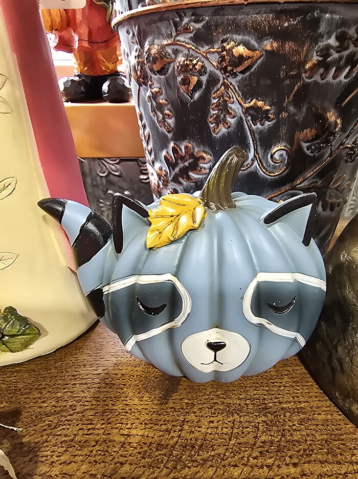 Racoon pumpkin