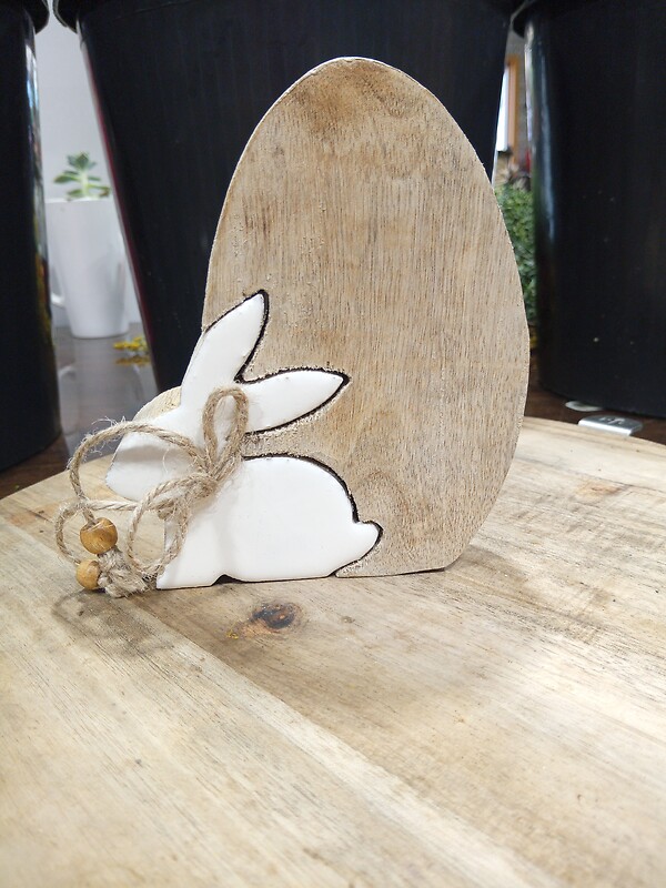 Bunny in Egg