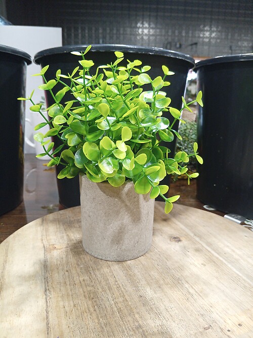 Fake Green Plant