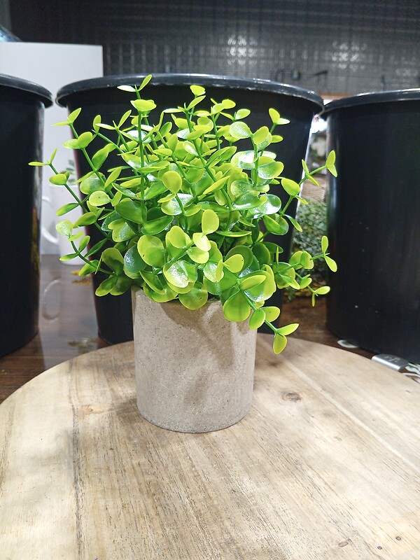 Fake Green Plant