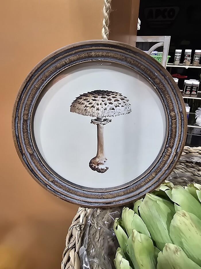 Mushroom picture