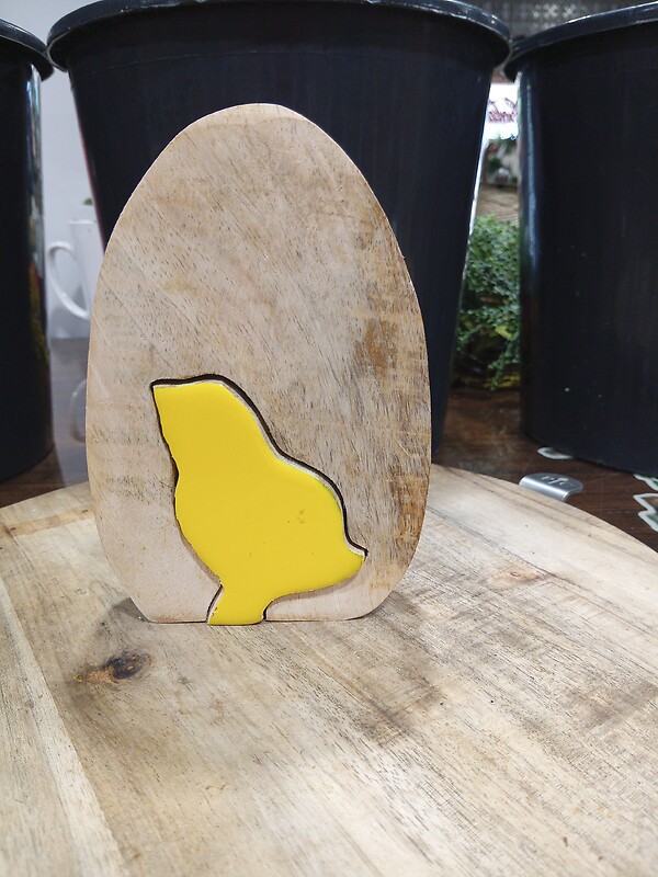 Chick in Egg