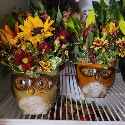 Owl planter