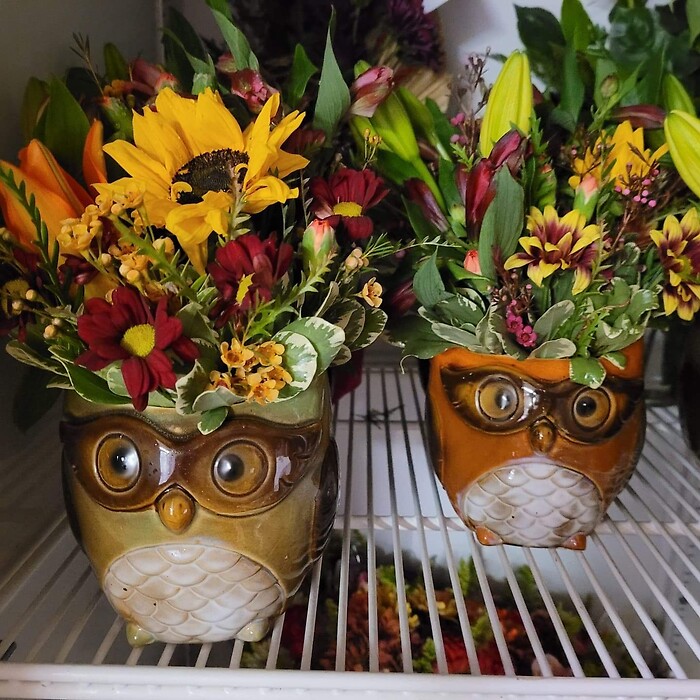 Owl planter