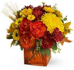 Autumn Expression