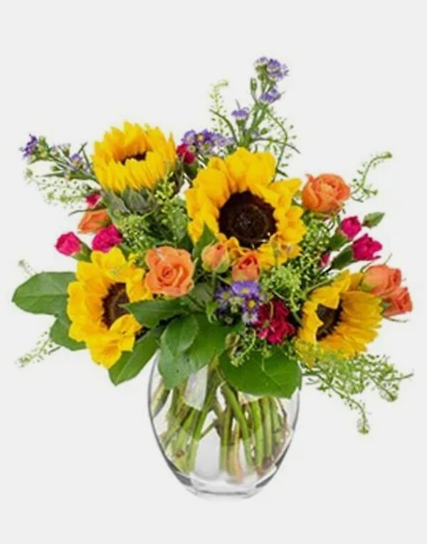 Sunflower live