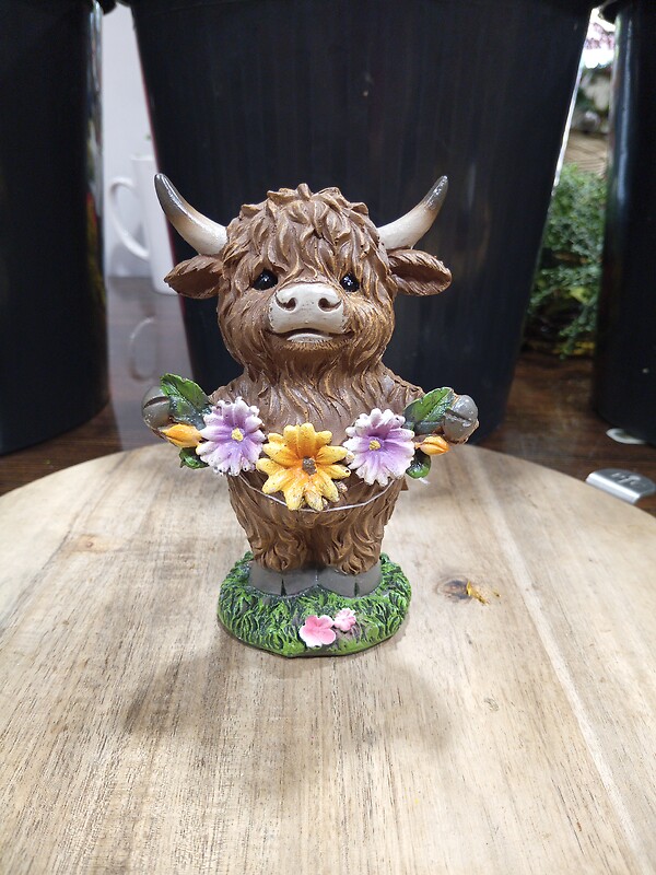 Highland with Flowers