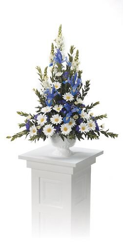 iris daisy pedestal