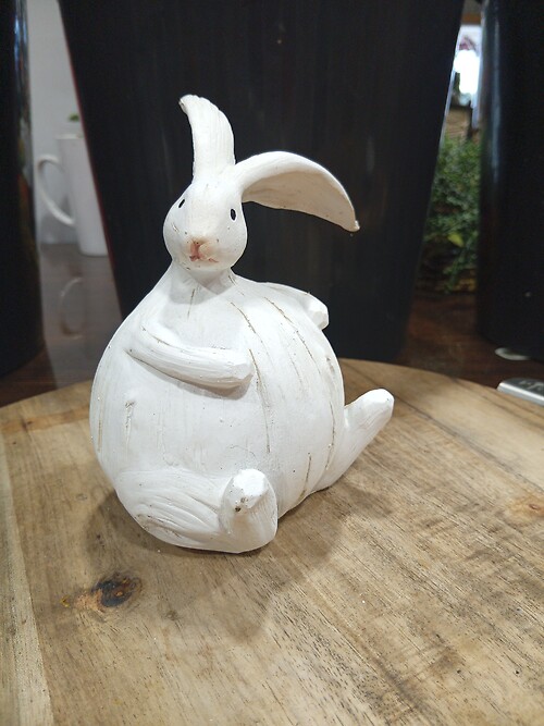 Large Bunny