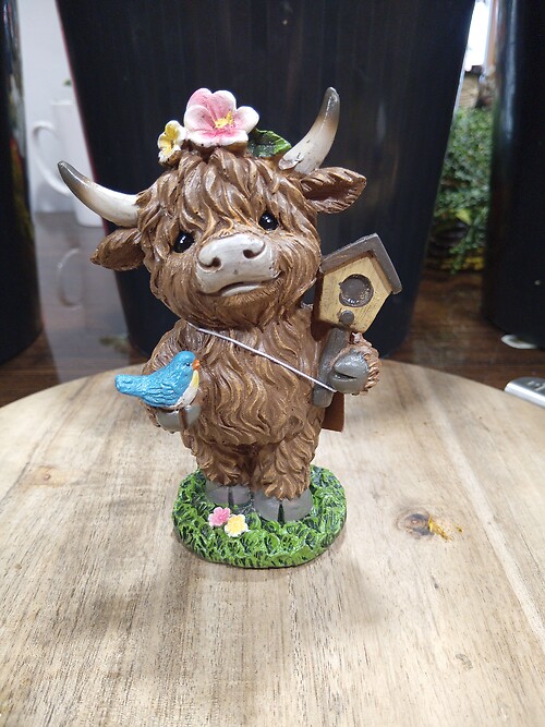 Highland with Bird House