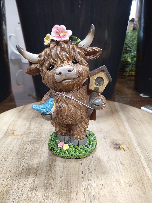 Highland with Bird House