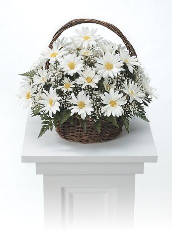 Daisys basket