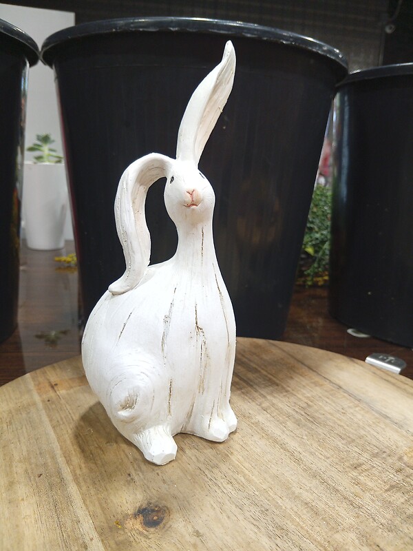 Medium Bunny