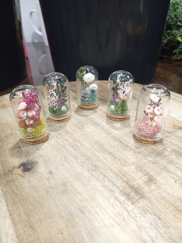 Teeny Tiny Terrarium