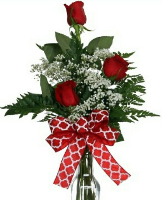 Tri rose