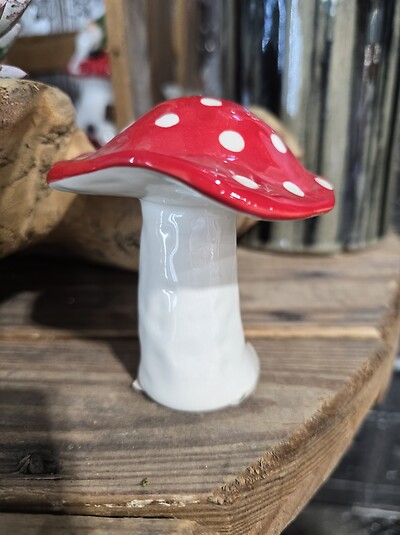 Small mushroom