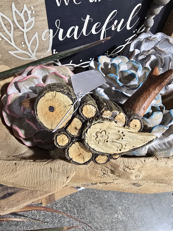 wood looking bird