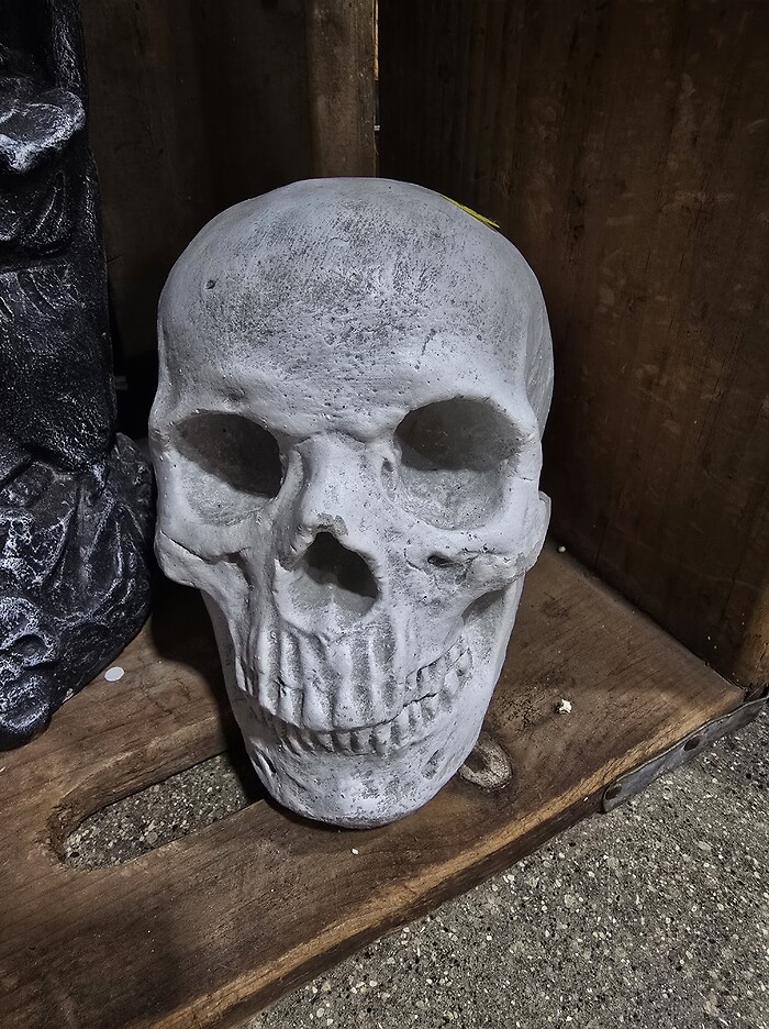 Small skull