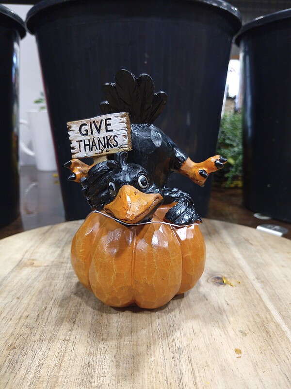 Black Bird with Give Thanks