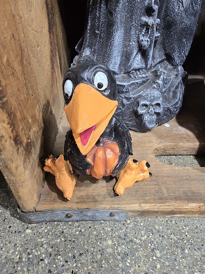 Crow with pumpkin