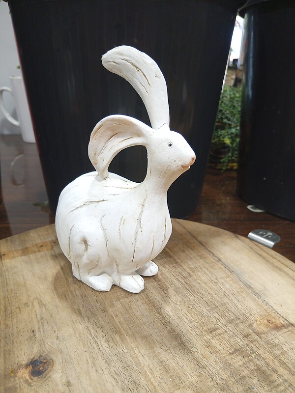 Small Bunny
