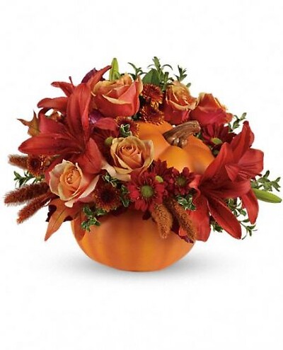Autumns joy