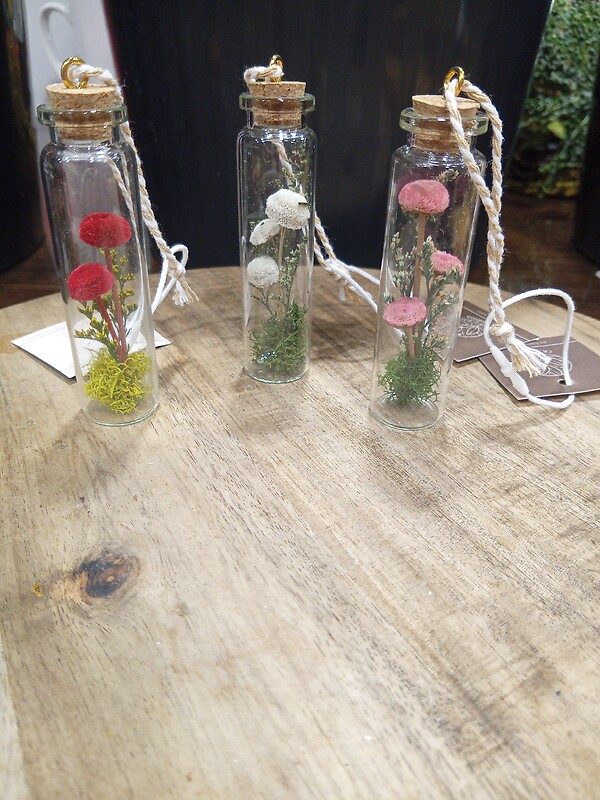 Medium Terrarium