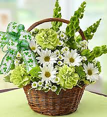 Ireland Basket