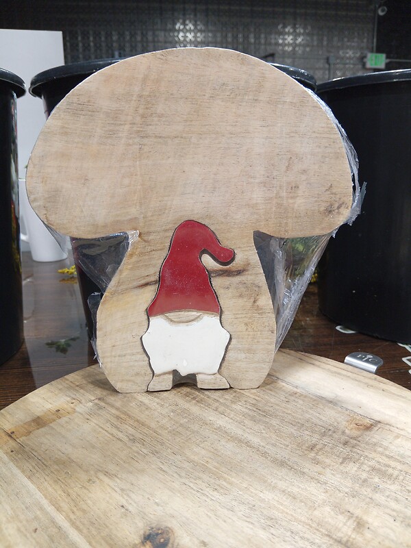 Mushroom with Gnome