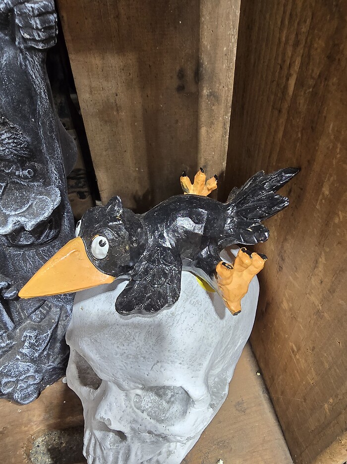 Laying crow