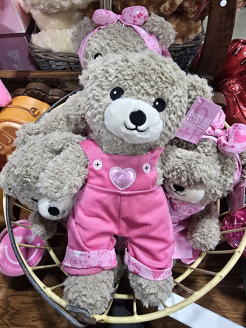 Boy bear