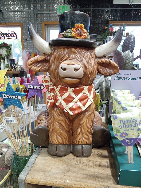 Highland with Bandana