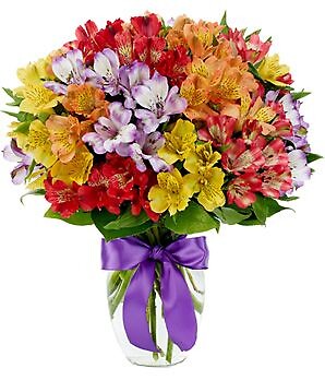 Peruvian Lily Rainbow Bouquet