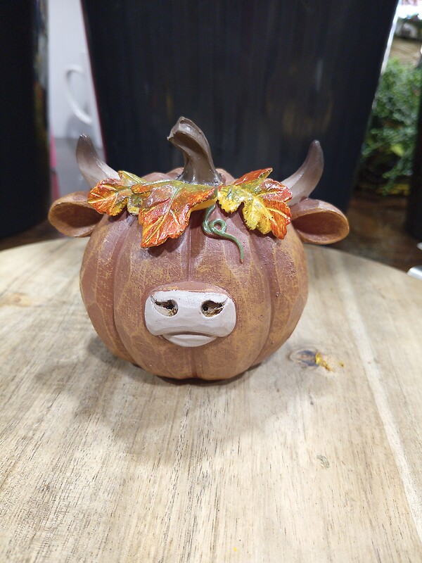 Highland Pumpkin Short
