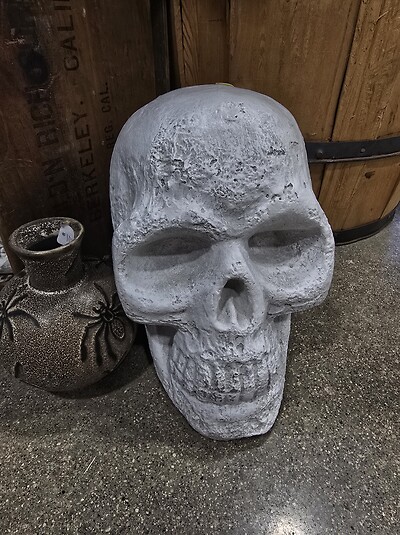 Large skull